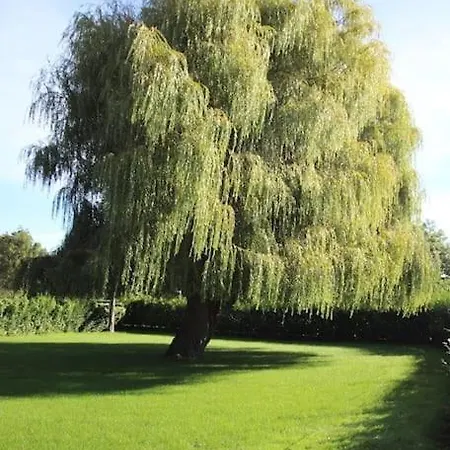 Groeps-, Retreat- En Trainingsaccomodatie De Waterkroon! * Wieringerwaard